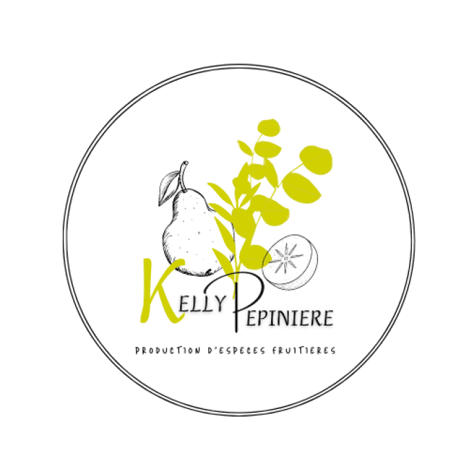 pommier Transparente jaune