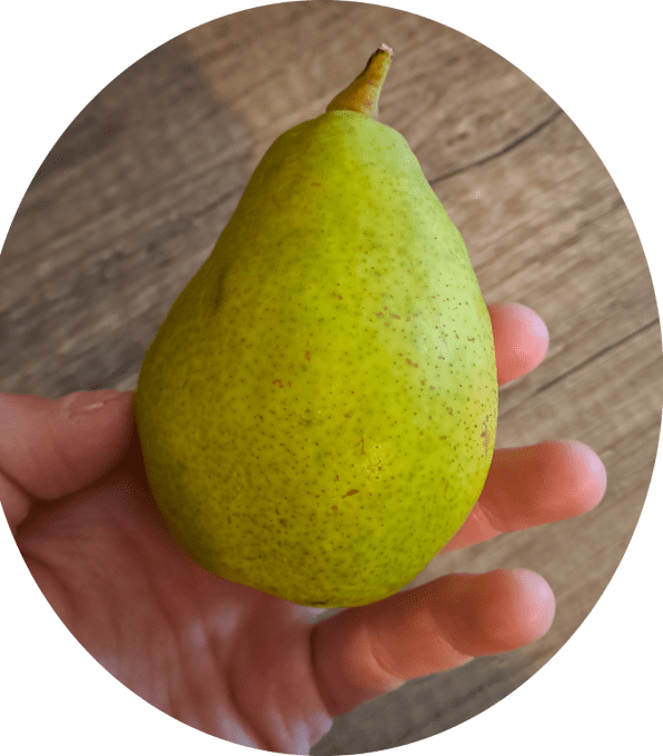 Poirier Louise bonne d'Avranches