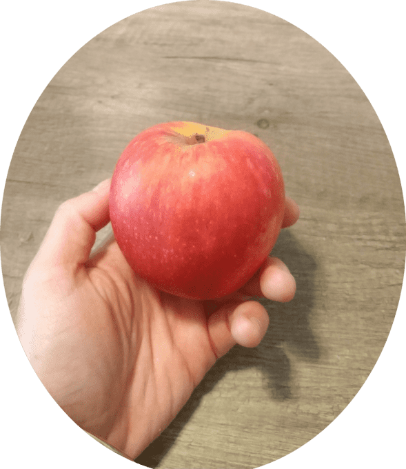 Pommier Rouget de Borne